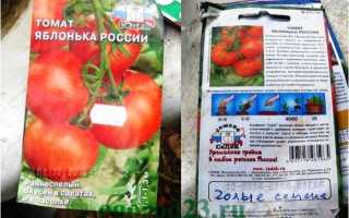 Помидоры Яблонька России: фото, отзывы, особенности сорта