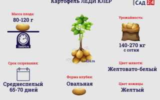 Готова новая коллекция открыток — «Леди Клер»