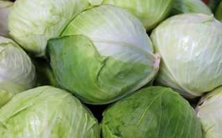 Секреты вкусных заготовок: можно ли солить раннюю капусту на зиму – советы по засолке и лучшие рецепты