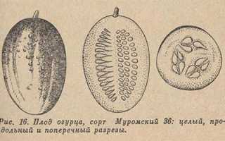 Учебник Плешаков 2 класс. 1 часть. Страницы 68, 69, 70, 71