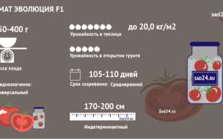 Томат Женарос f1: особенности гибрида, отзывы