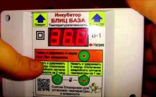 Инкубатор БЛИЦ 48 цифровой, 220/12В, автомат.поворот, рег. влажности