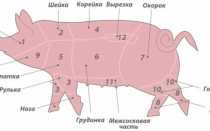 Убойный выход свиней в зависимости от живого веса