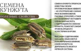 13 рецептов вкусной домашней халвы из разных ингредиентов