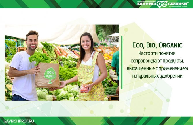 Экологические продукты благодаря Зелёным удобрениям