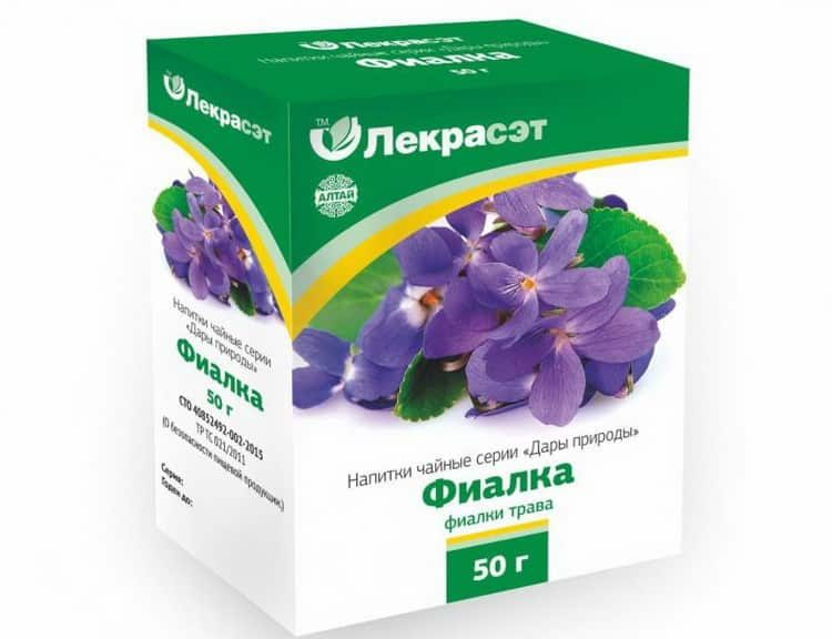 Фиалка: полезные свойства и противопоказания