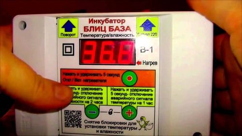 Инкубатор Блиц