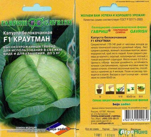 Капуста Краутман