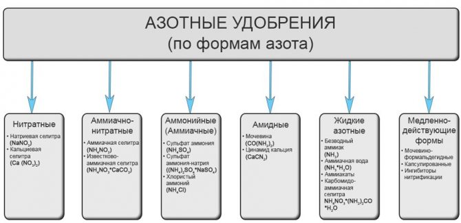 Классификация азотных удобрений