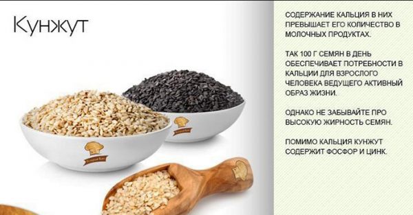 Кунжутная халва. Польза и вред, калорийность, БЖУ. Рецепты в домашних условиях