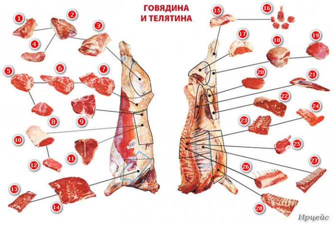 Мясо говядина (700x471, 252Kb)
