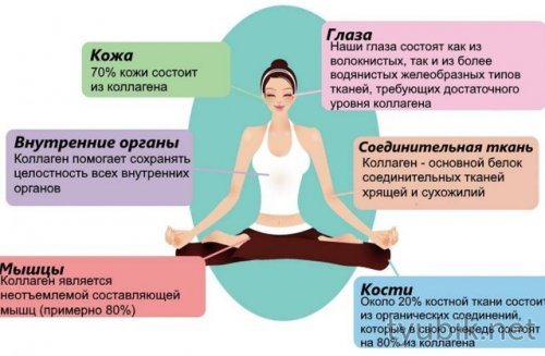 Роль вещества в организме