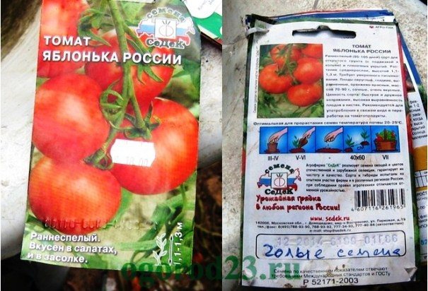 томаты Яблонька России