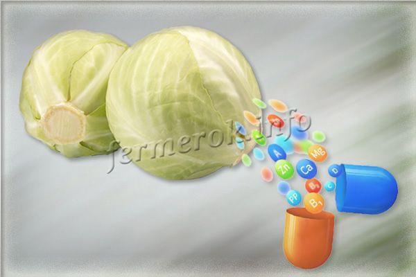 Витамины в белокочанной капусте