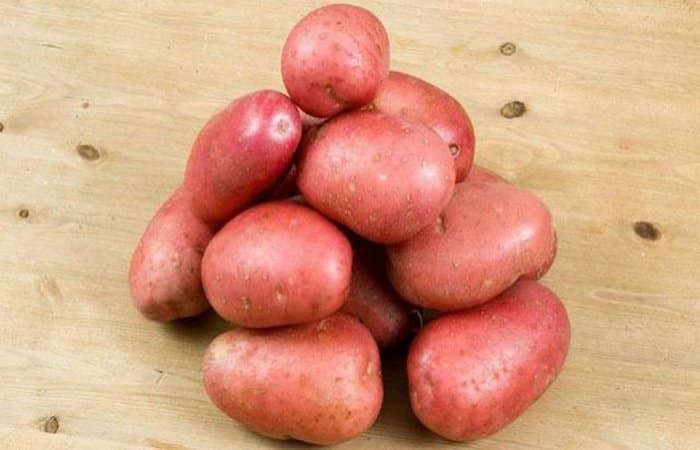 'Высокоурожайный, морозоустойчивый сорт картофеля 