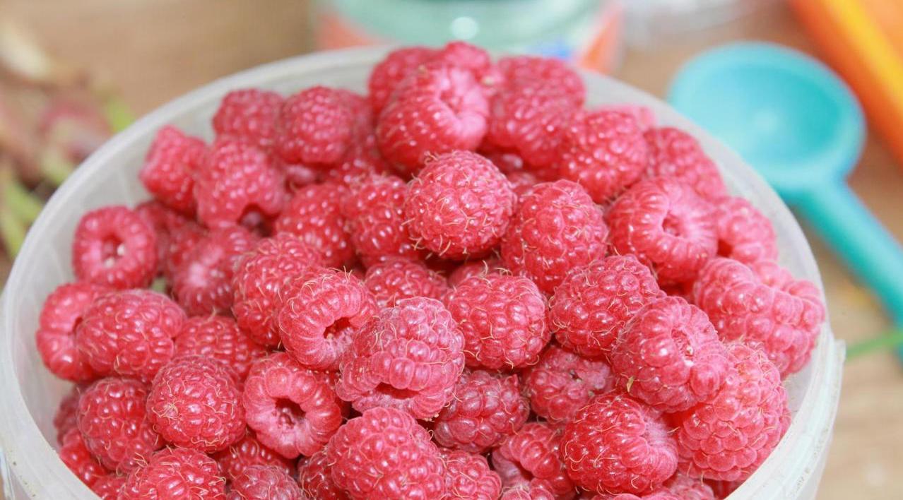 Краткая история и описание сорта малины Метеор