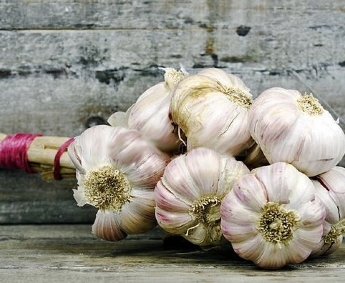 Особенности выращивания озимого сорта чеснока Любаша