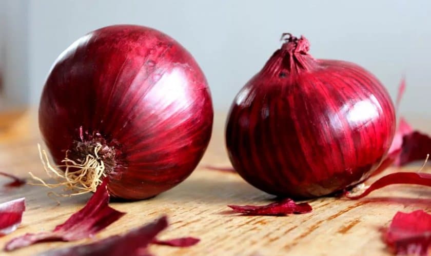 Достоинства красного лука Кармен, когда лучше посадить, правила ухода