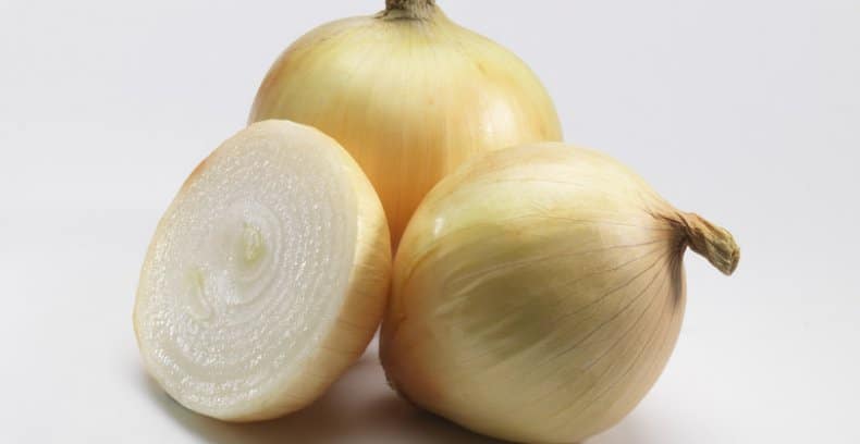 В чем преимущества лука Коррадо F1, как его надо сажать и выращивать