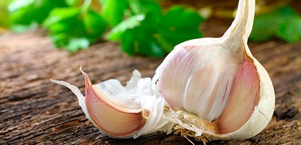 Характеристики лучших сортов чеснока с большими головками