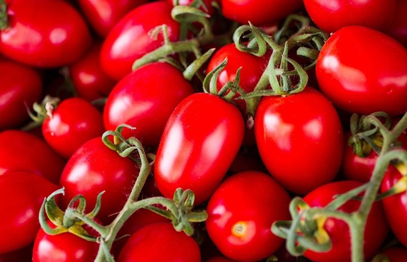 Популярные разновидности помидоров сливка