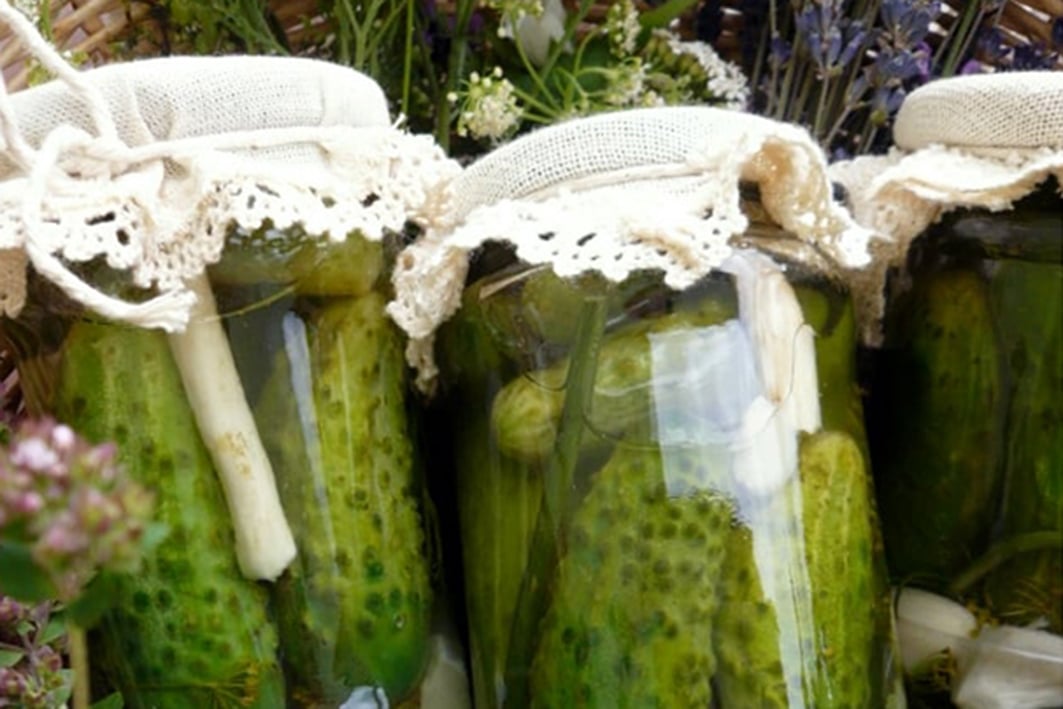 Рецепты бочковых огурцов на зиму в банках