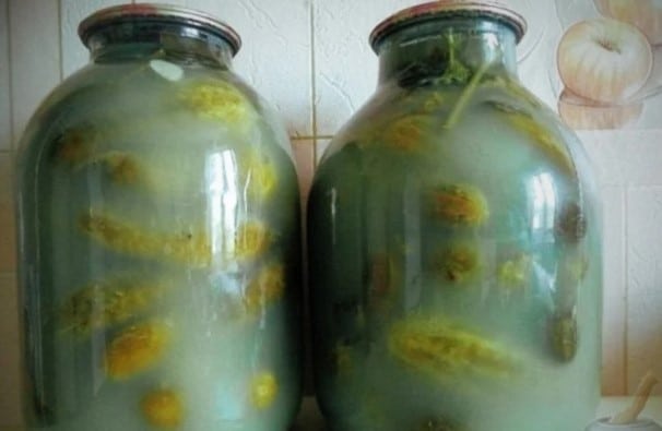 Отчего соленые огурцы пустые и мягкие внутри