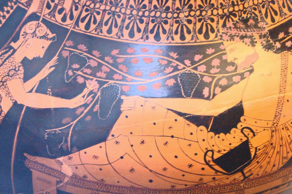 Описание винограда Надежда АЗОС — что это за разновидность?