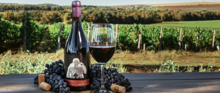 Описание винограда сорта Пино Нуар (Pinot Noir)