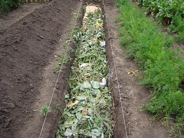 Подготовка весной и осенью теплой грядки для огурцов