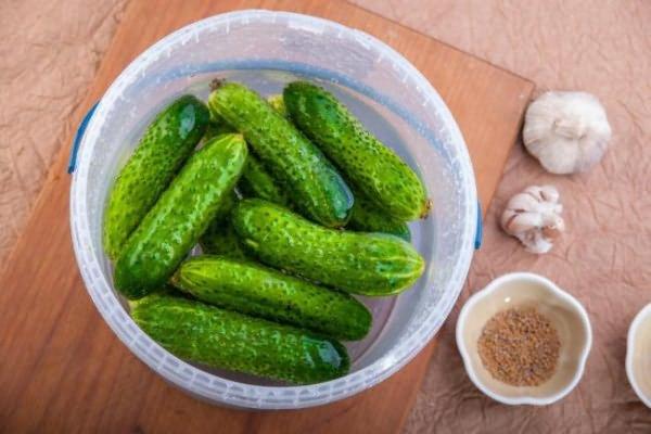 Маринование хрустящих огурцов корнишонов на зиму