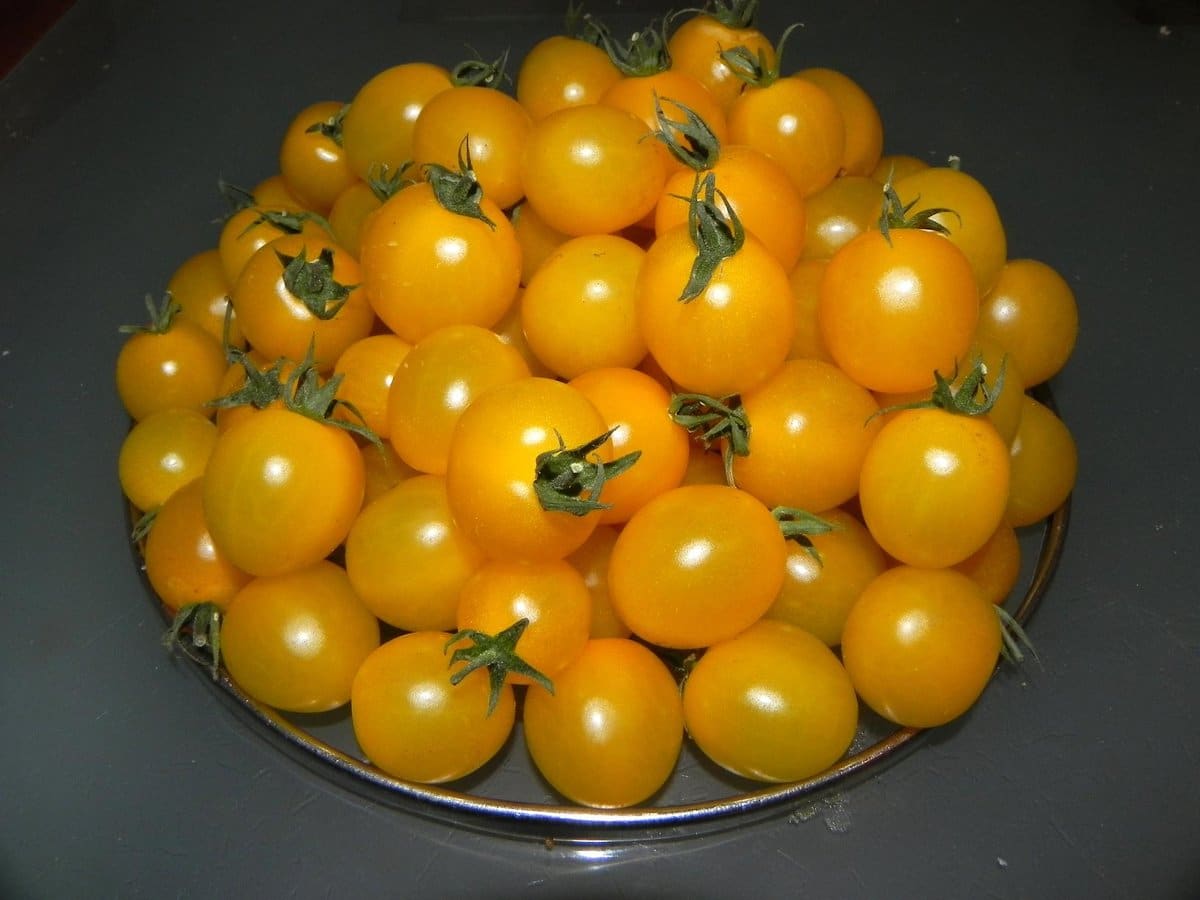 Что можно приготовить на зиму из желтых помидоров