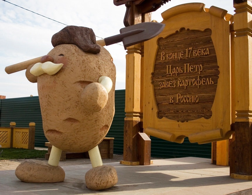 Что такое картошка — чем является, какой это вид?