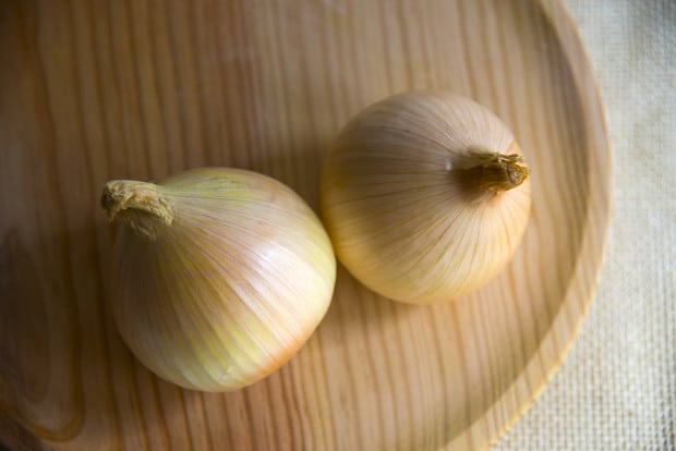 Сорт репчатого лука геркулес, его достоинства, правила посадки, ухода