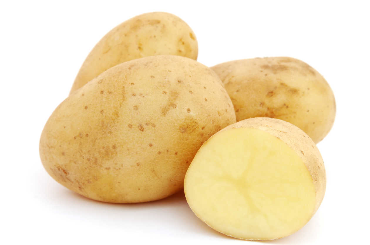 Сорта картошки с шероховатой кожурой — какие бывают?