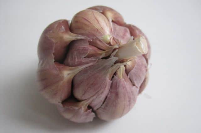 Как отличить летний чеснок от зимнего — в чем разница