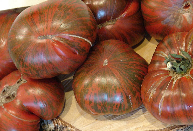 Особенности и свойства томата Полосатый шоколад