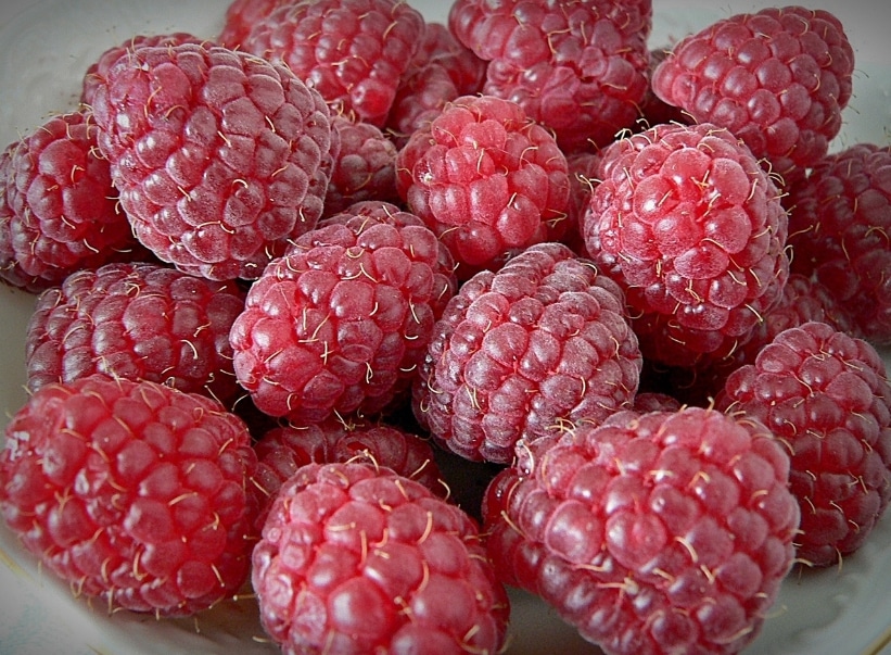 Описание ремонтантного сорта малины Херитейдж