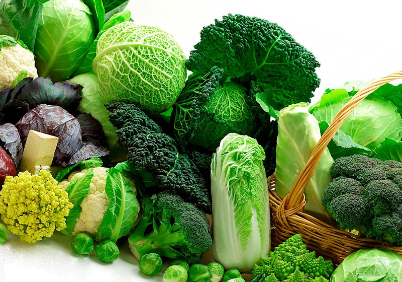 Выращивание и уход за капустой в открытом грунте