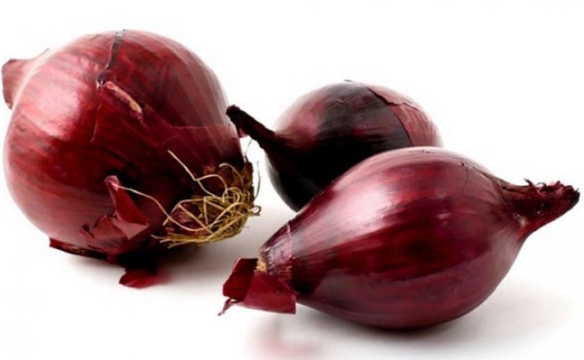 Преимущества лука Ред Барон, правила выращивания, выгонки на перо