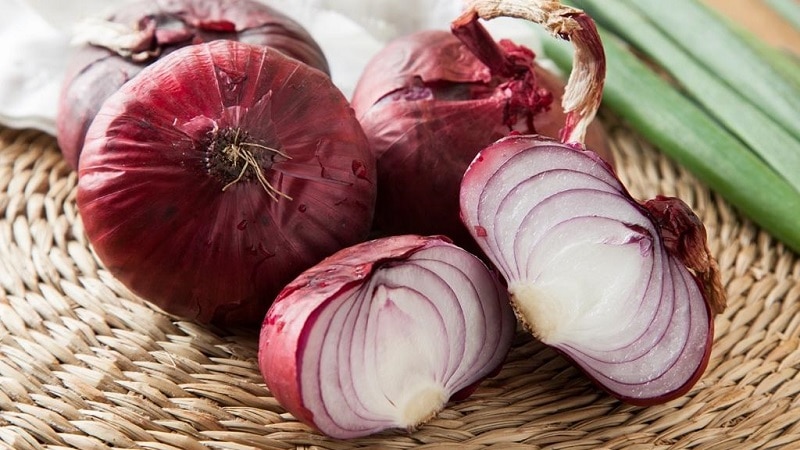 Какие сладкие сорта репчатого лука самые лучшие, описание