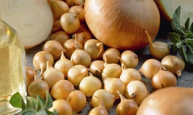 Достоинства Лука Трой, как получить богатый урожай