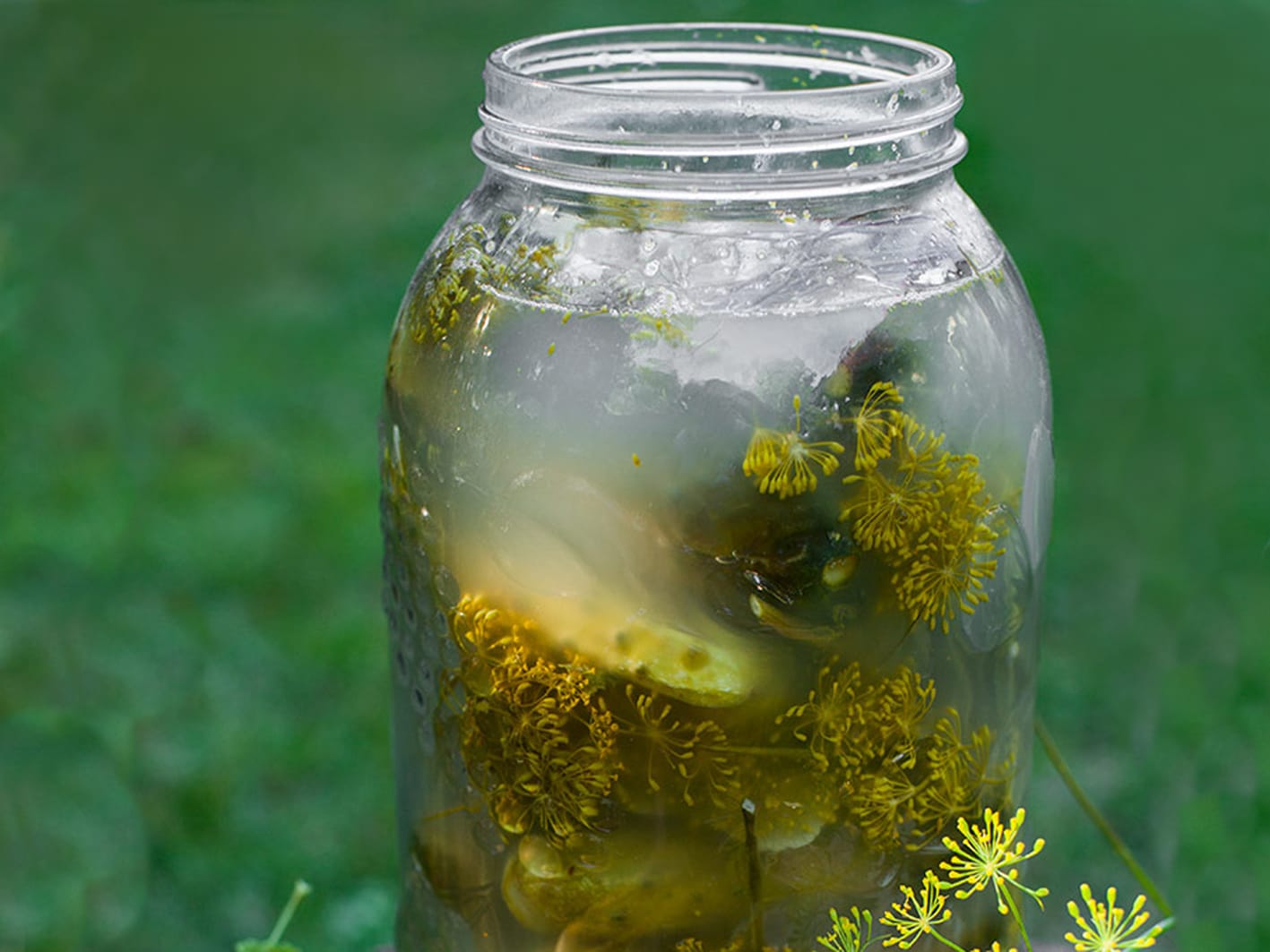 Соление огурцов холодным и горячим способами