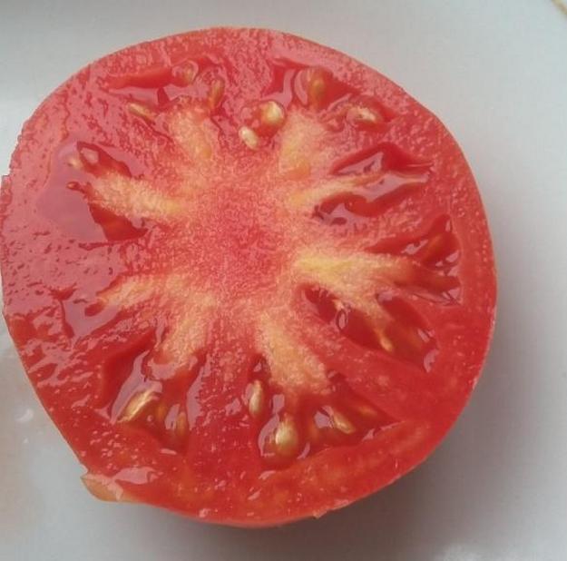 Заготовка семян томатов из собственных плодов