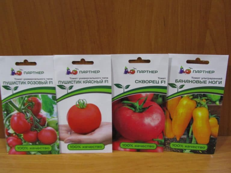 Характеристики и описание томата Пушистик