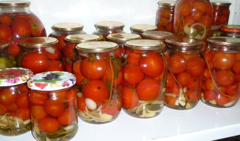 Информация о сорте томата Абаканский розовый