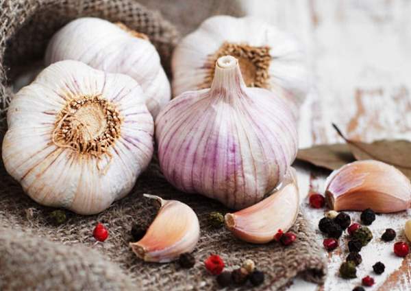 Защита от мороза чеснока посаженного под зиму — надо ли укрывать