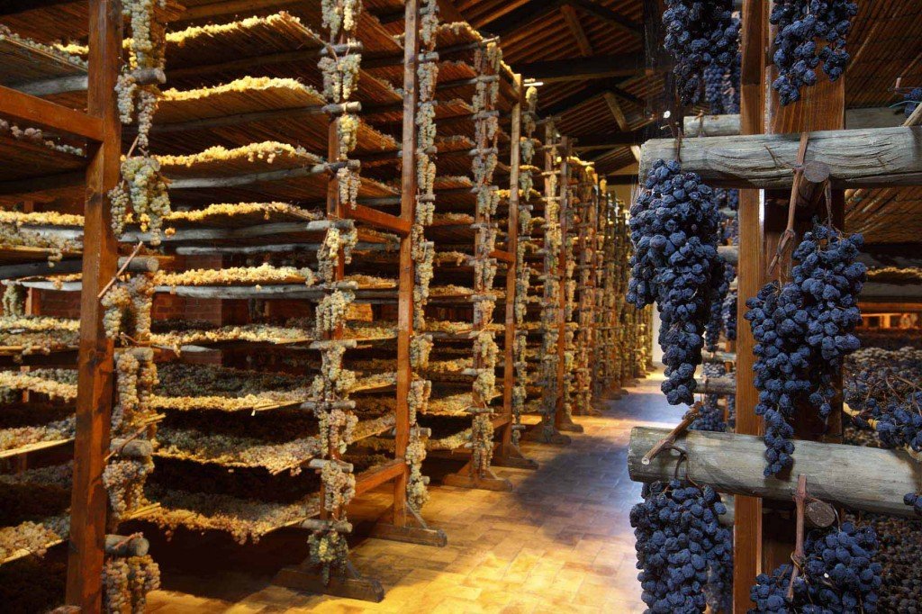 Правильная сушка винограда в домашних условиях — при какой температуре