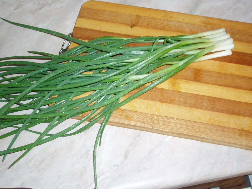 Как создать хорошие условия дома для выращивания зеленого лука зимой