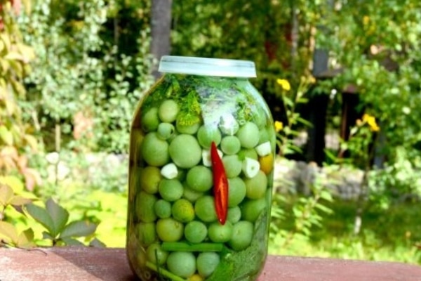 Способы засолки зеленого помидора холодной водой